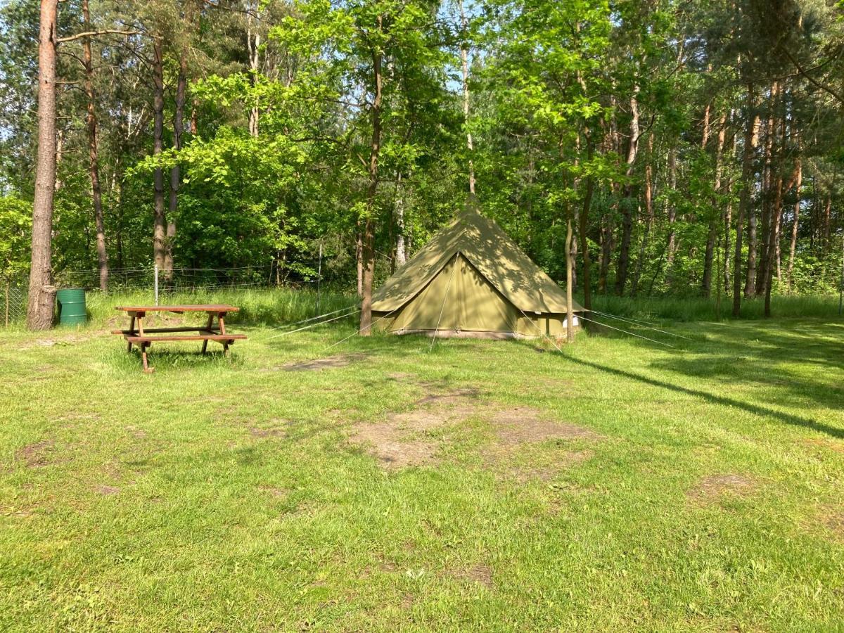 Hotel Lesne Zacisze-Pole Namiotowe à Pisklaki Extérieur photo
